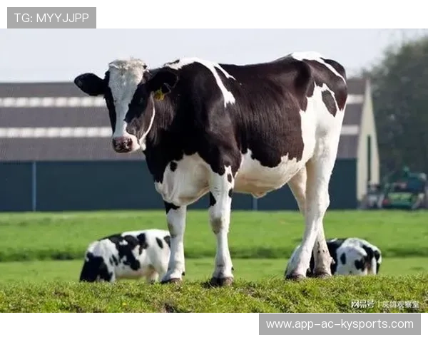 内森‑泰拉自信满满：球队虽早期表现欠佳，但正在改善