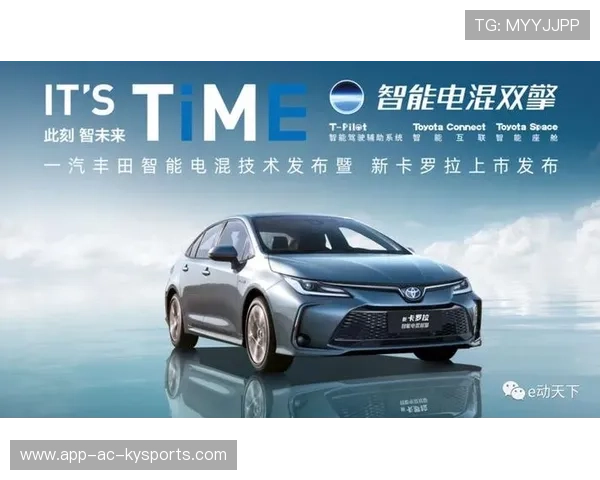 新版本辅助经济大幅提升